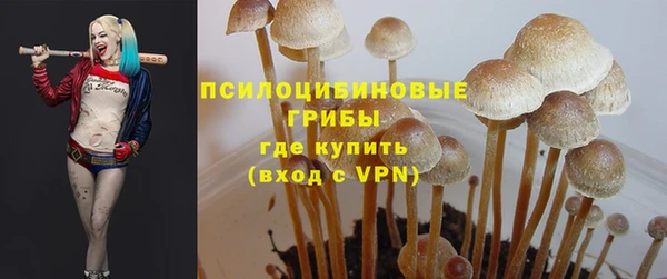 спайс Надым