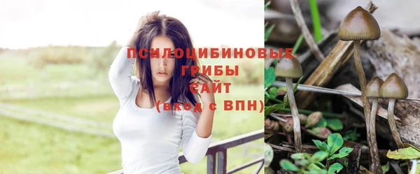 спайс Надым