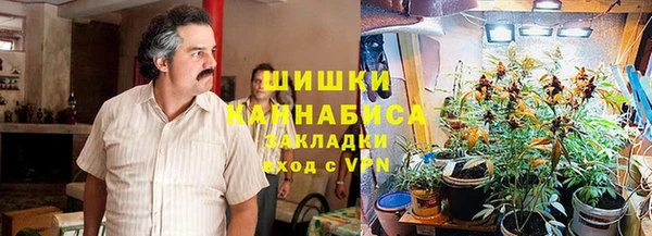 индика Наволоки