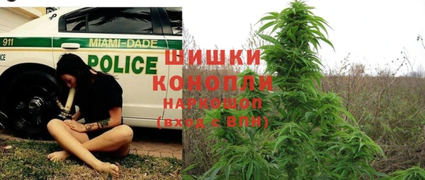 индика Наволоки