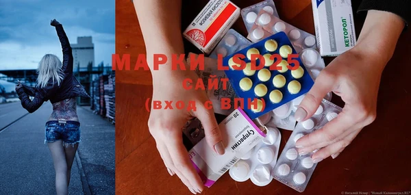 индика Наволоки