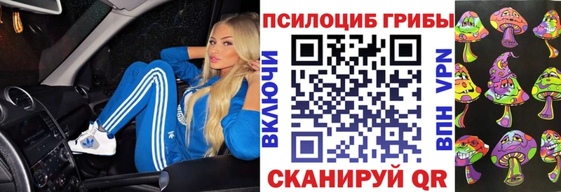 blacksprut как зайти  Олёкминск  Псилоцибиновые грибы Psilocybine cubensis 